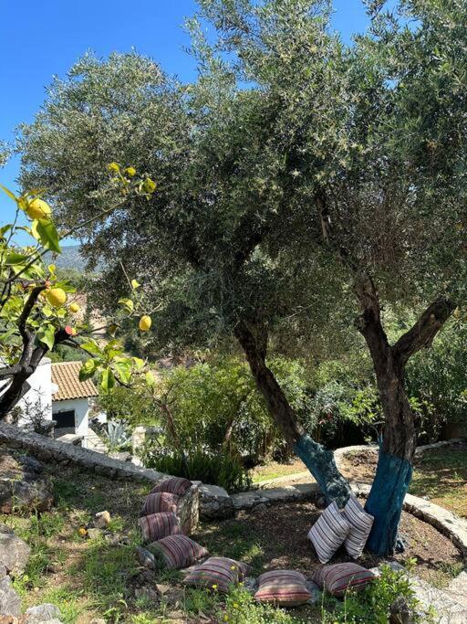 Mount Minis - Casa Bruno Villa Sívota Eksteriør billede
